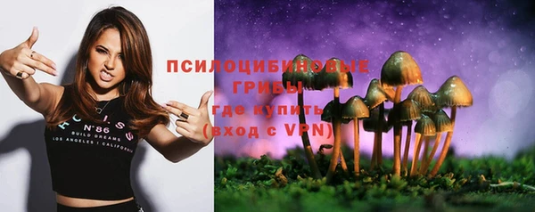 прущая мука Белоозёрский