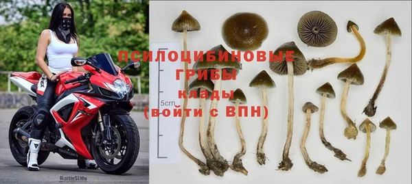 jwh Анжеро-Судженск