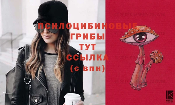 ECSTASY Семикаракорск