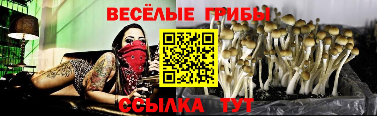 Галлюциногенные грибы GOLDEN TEACHER Нижневартовск